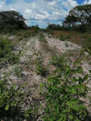 Landweg für Stromversorgung